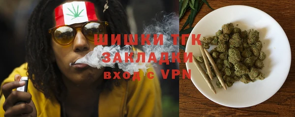 spice Богданович