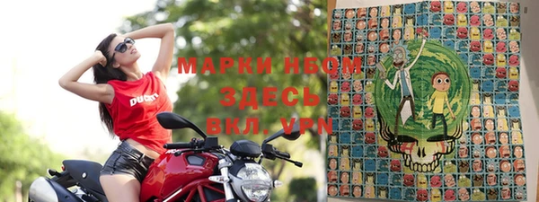 spice Богданович